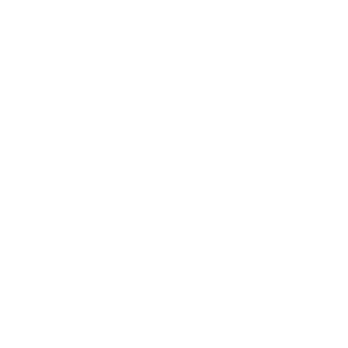 elgi